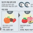 백조과일 이미지