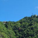 독도블루스 이미지