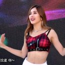 고흥유자석류축제 이미지