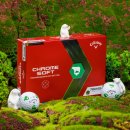 그린골프존 이미지