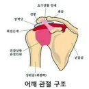 몸사랑약손 네이버블로그