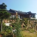 하울당 이미지
