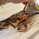 거북명태 이미지