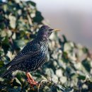 다원자동차공업사 이미지