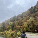 평창 오대산 선재길 단풍 후기(10/19 토요일) 공유합니다