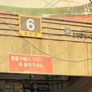 모녀청과 이미지