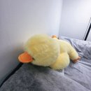 위드미미 | [뷰티] 일산브라질리언 왁싱 꼼꼼하고 깔끔한 관리의 정석, 뷰티 더위드 대만족 후기