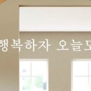 사인노우스