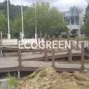 원주초등학교 이미지