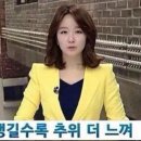 대한얼음