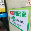전병준동물병원 | 독감예방접종 싼 곳, 대한산업보건협회 다녀온 후기(가격,주차,소요시간 등)+ 인원제한 및 접수시간...