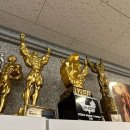 매드볼릭 휘트니스 이미지