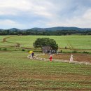 양광모농장 이미지