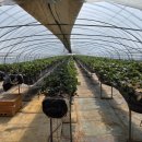 명학농장 이미지