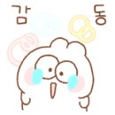 뱅갈냥이 이미지