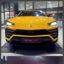 스타일튜닝 이미지