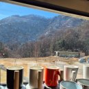 노스토스 이미지