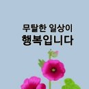 ♡ 능소화의 슬픈 전설 ♡ 이미지