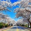 학여울유치원 이미지