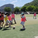 (학교)영동초 네이버블로그