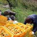 원이농장 이미지