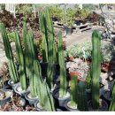 가조농장 이미지