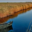 블리비의원 이미지