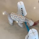 펫슨조이 이미지