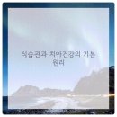 라이크치과의원 네이버블로그