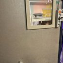 바위 솔 | 광안리 게스트하우스 파티 솔게하 후기 &amp; 가는 방법 총정리