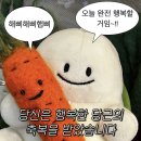 무룡합기도 이미지