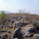 아주초등학교 정문 이미지