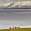 Sarfraz Durrani - 아이슬랜드, 야생 이미지