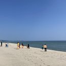 손양면사무소 이미지