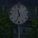 세세라기 이미지