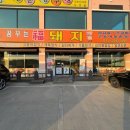 꿈꾸는복돼지