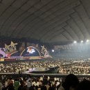 섹시존 ザ・ハイライト12/17 돔 투어 후기