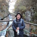 중앙동122 이미지