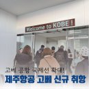 인천국제공항공사(탑승교) - 9681 | 고베공항 국제선 확대! 제주항공 신규 취항과 고베공항 이용 후기