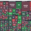 오늘의숲 이미지