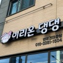 댕댕아 이리온 이미지