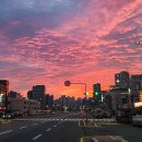 봉이돈단지