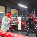 과천복싱체육관 이미지