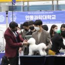 그루밍독 연구소 이미지