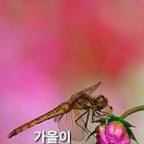 기다리시게 후회 없이 나 살다 가리다 이미지