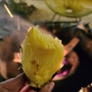 가시리 풀하우스 이미지