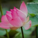 무지개요양원 | 무지개언덕노인전문요양센터 부산 최고의 요양원