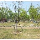 한솔숯불식당 이미지