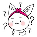 비엔제이 이미지