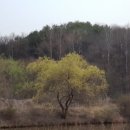 산과강 네이버블로그